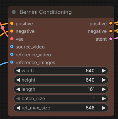bernini-conditioning