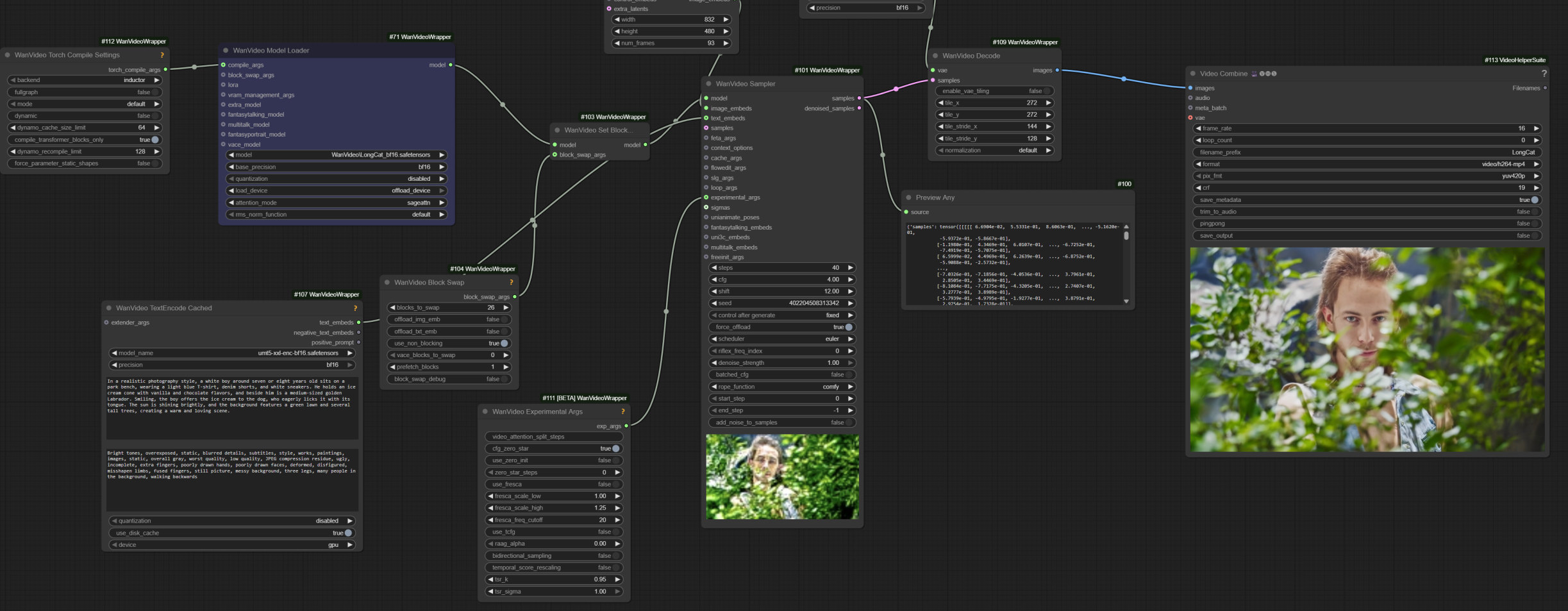 longcat-1st-try-wrapper