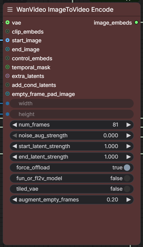 WanVideo-ImageToVideo-Encode