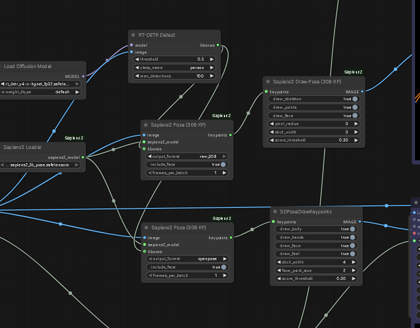 sapiens2-nodes